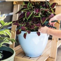 Kelkay Classic Planter - Blue