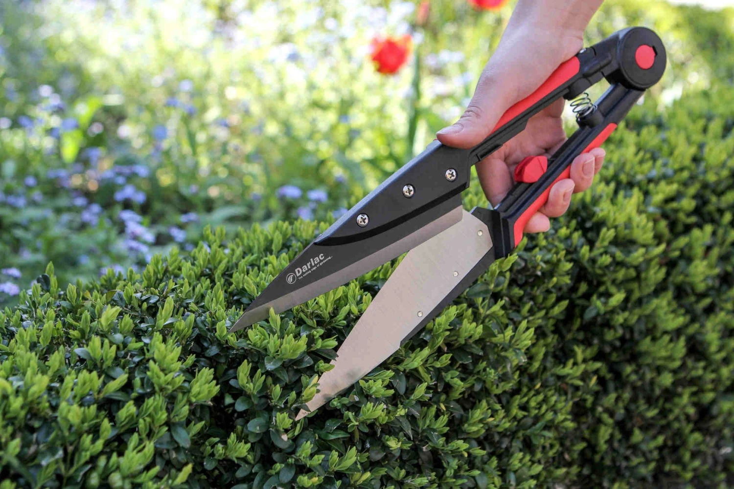 Darlac Expert Topiary Shear - Image 2