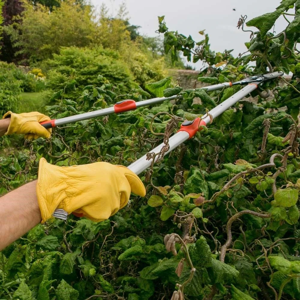 Wilkinson Sword Telescopic Bypass Lopper - Image 3