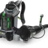 EGO LB6000E-K1103 Backpack Blower & Charger