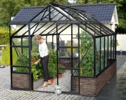 Vitavia Cassandra Dwarf Wall Greenhouse