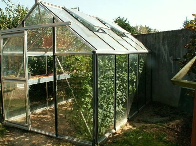 Janssens Eos Junior Hobby 160/40 Tempered Glass Greenhouse - Image 2