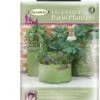 Haxnicks Patio Vegetable Planters X3