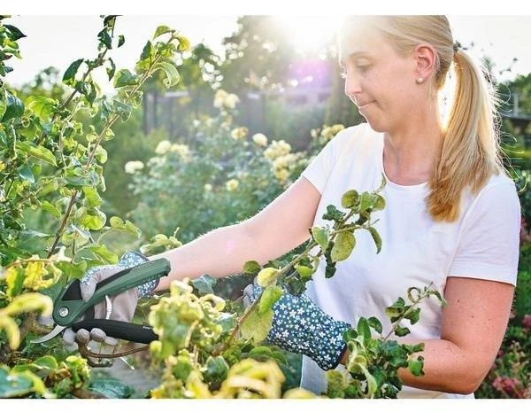 Bosch EasyPrune Cordless Secateurs - Image 2